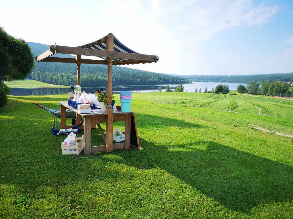 Skatauddens Lantgard Villa Älvsbyn Екстериор снимка
