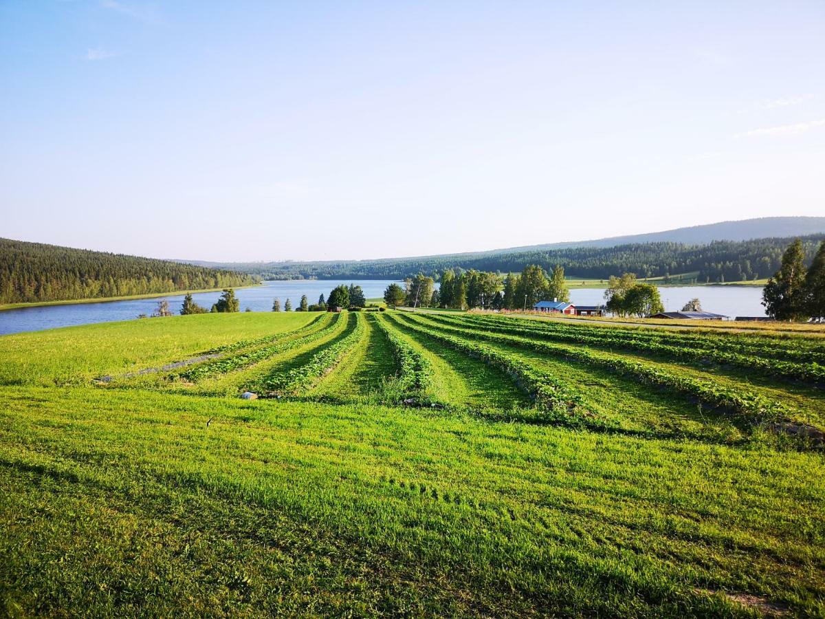 Skatauddens Lantgard Villa Älvsbyn Екстериор снимка