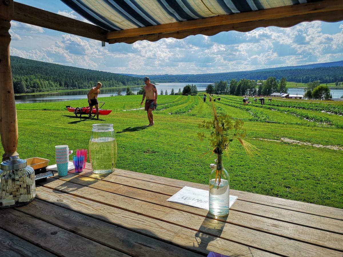 Skatauddens Lantgard Villa Älvsbyn Екстериор снимка