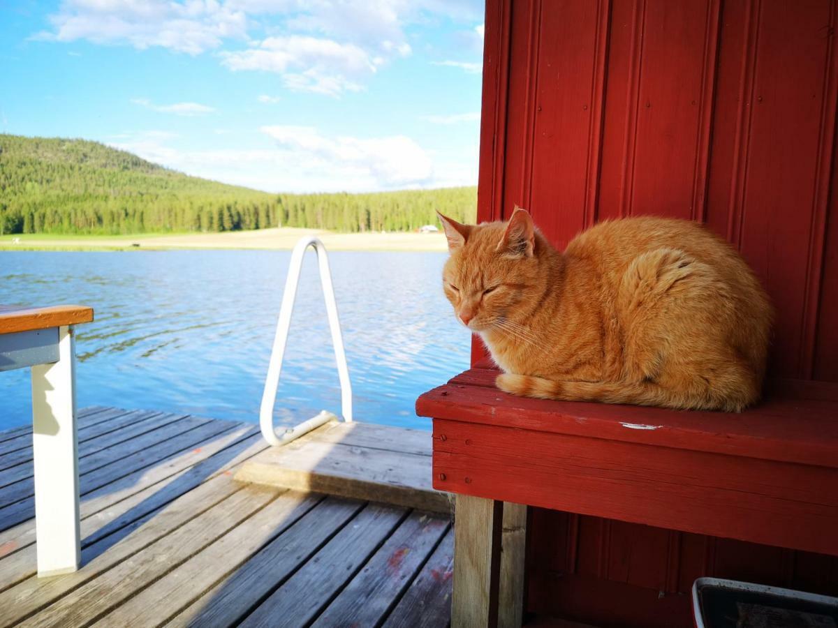 Skatauddens Lantgard Villa Älvsbyn Екстериор снимка
